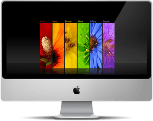 Webdesign_propono